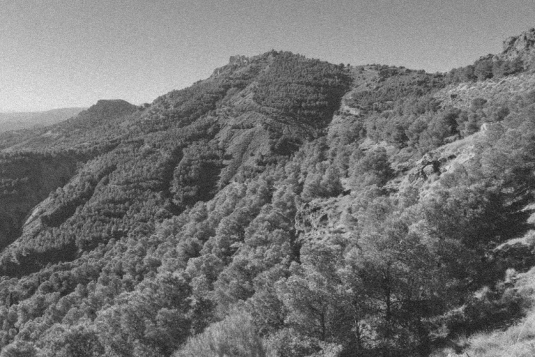 Lorca, Spain – start January 2024 (12 months)